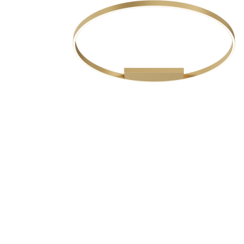 Потолочный светильник MAYTONI RIM MOD058CL-L65BSK